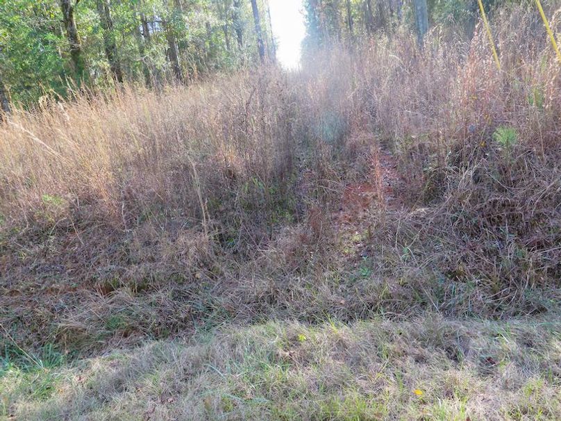 Lauderdale Co - 74 - Gillentine-11