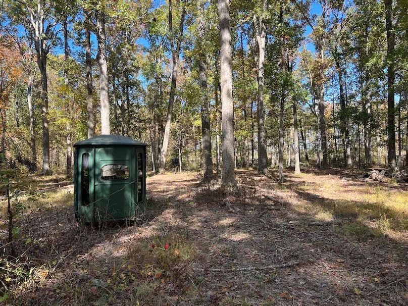 jeff 5020251111_0329