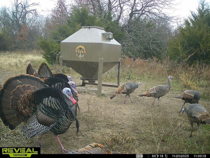 864049055449112-100-2-11202025145232-HD-SYEW9689