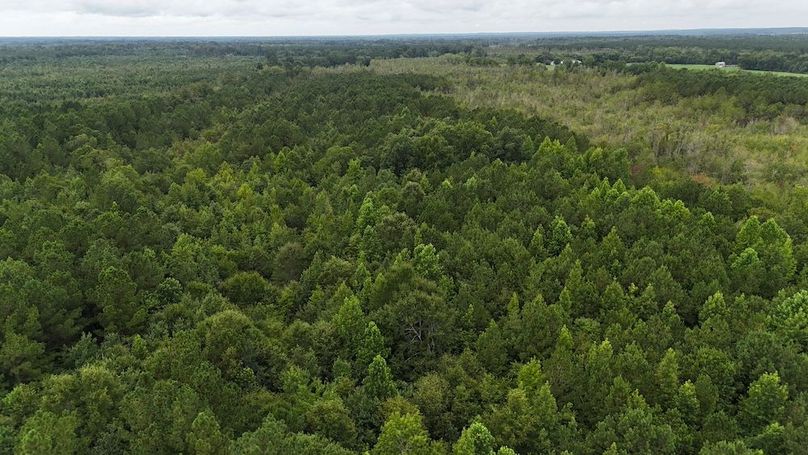 dji_fly_20250715_111004_0589_1752592279553_photo