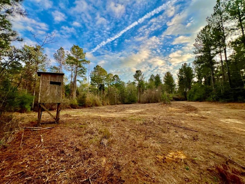 977AFADF-D9C7-4C2B-BFD5-377C6720D1CE_1_201_a