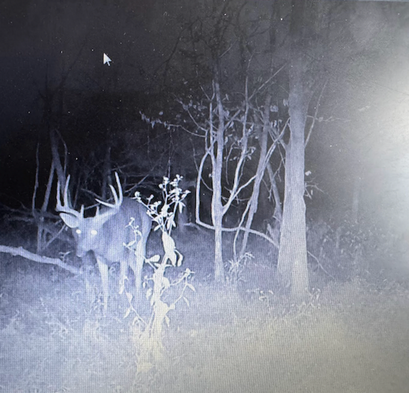 Screenshot 2026-03-02 at 9.55.36 AM