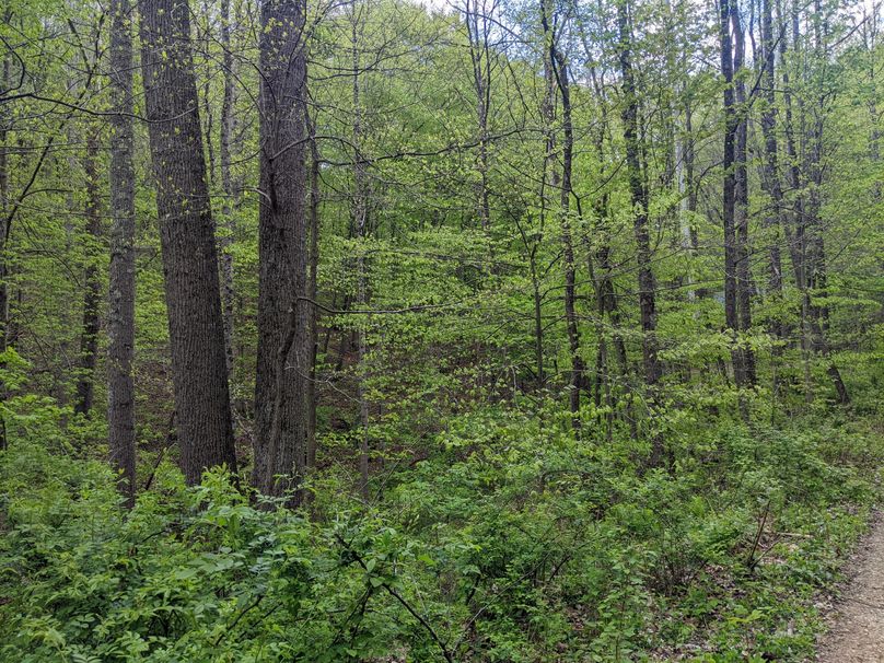 PXL_20230504_214752921