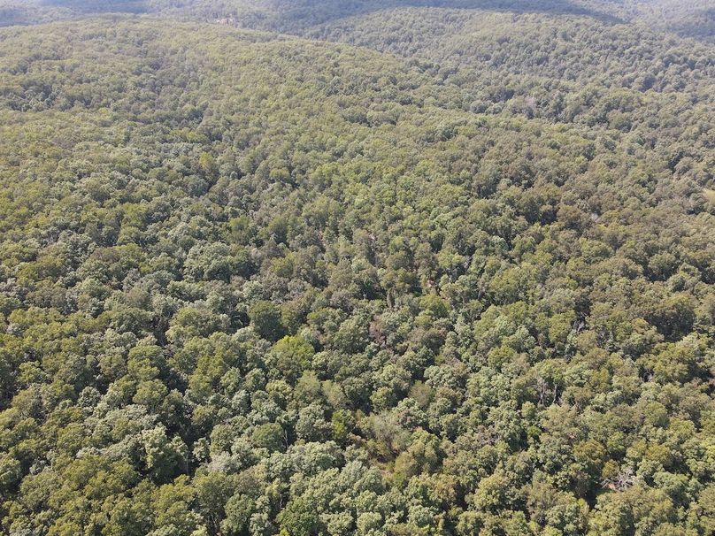 dji_fly_20250818_150810_666_1755547727277_photo