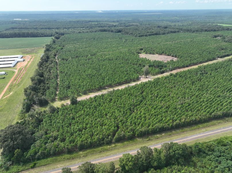 dji_fly_20230905_114024_626_1693928744573_photo