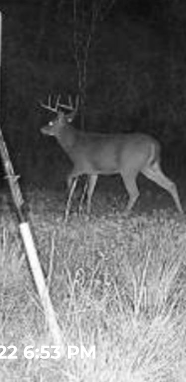 74D94264-112F-40FE-8C29-446C902255B5