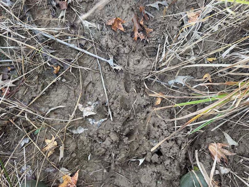 Jeff 11720251111_0193