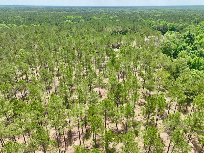 dji_fly_20240508_125538_295_1715187588293_photo