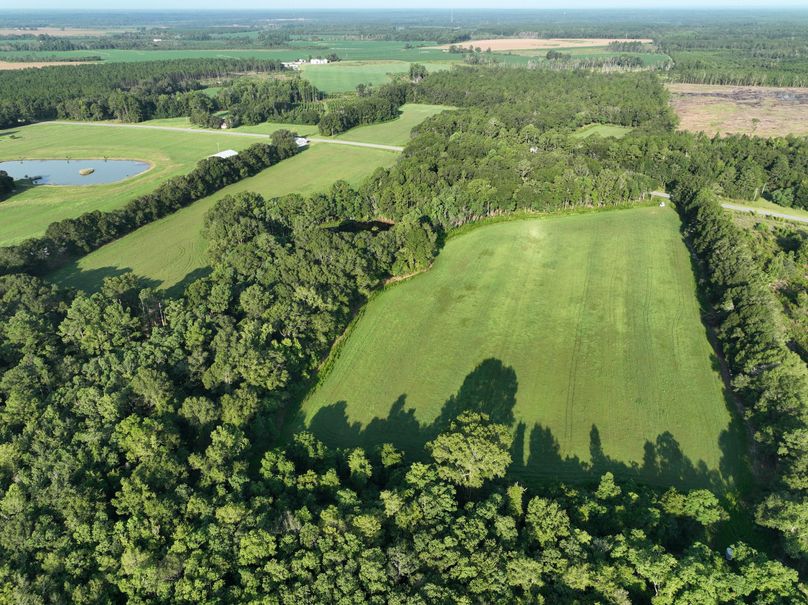 dji_fly_20230813_083432_519_1691930619407_photo