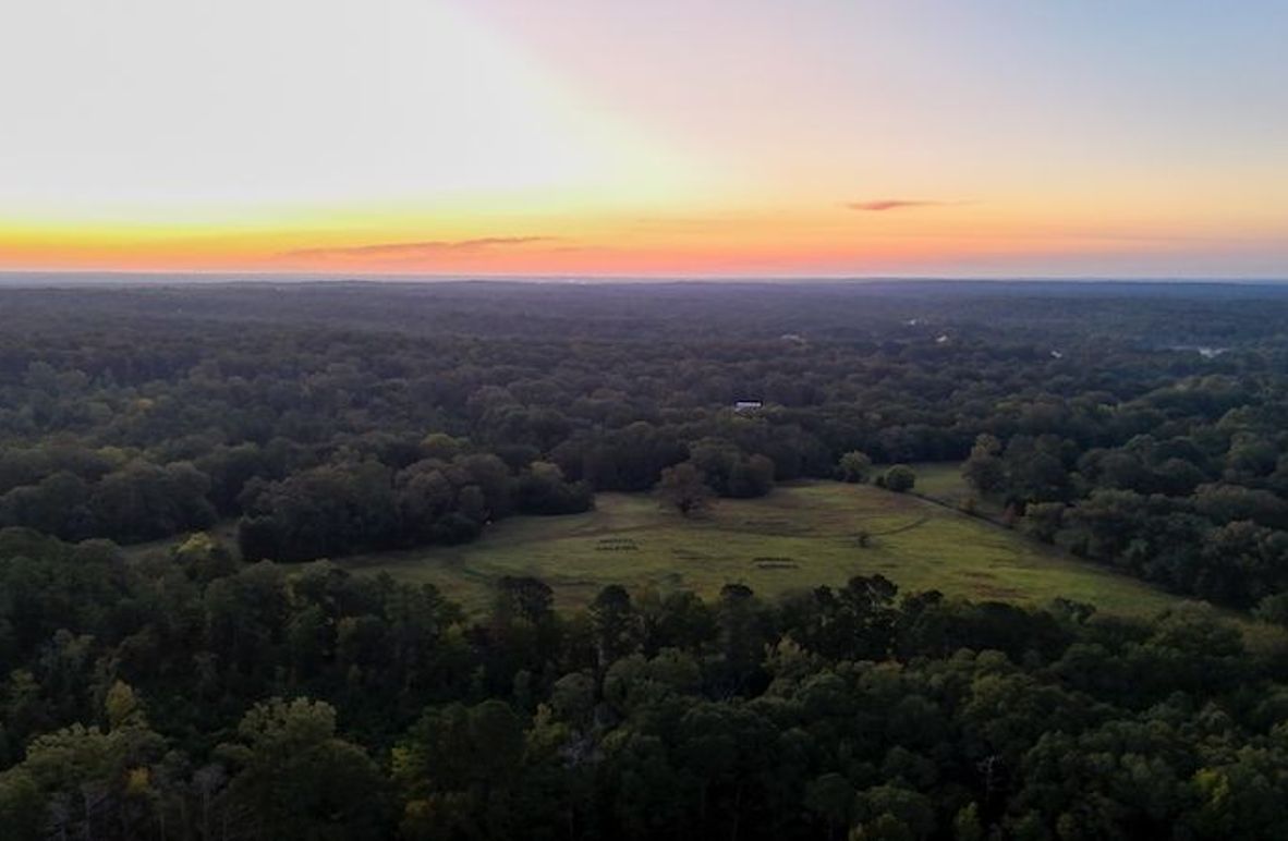 Hinds Co - 78 - Newman-01