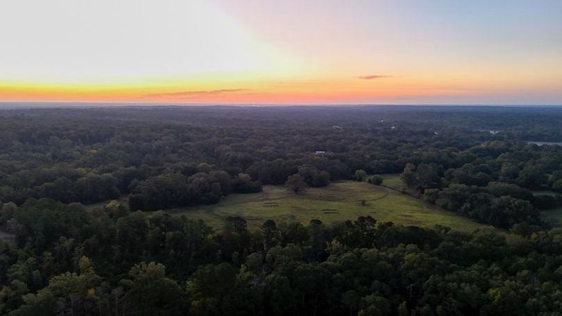 Hinds Co - 78 - Newman-01