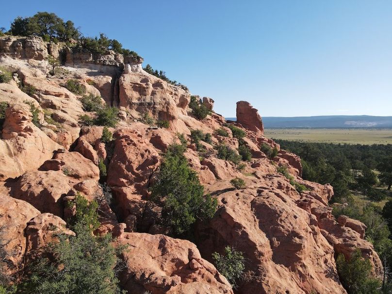 dji_fly_20240816_084236_568_1723819422018_photo