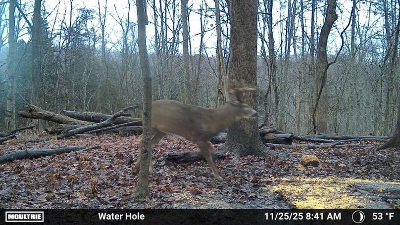 Temp_2337651-20251125134207-100MFCAM_MFDC5846