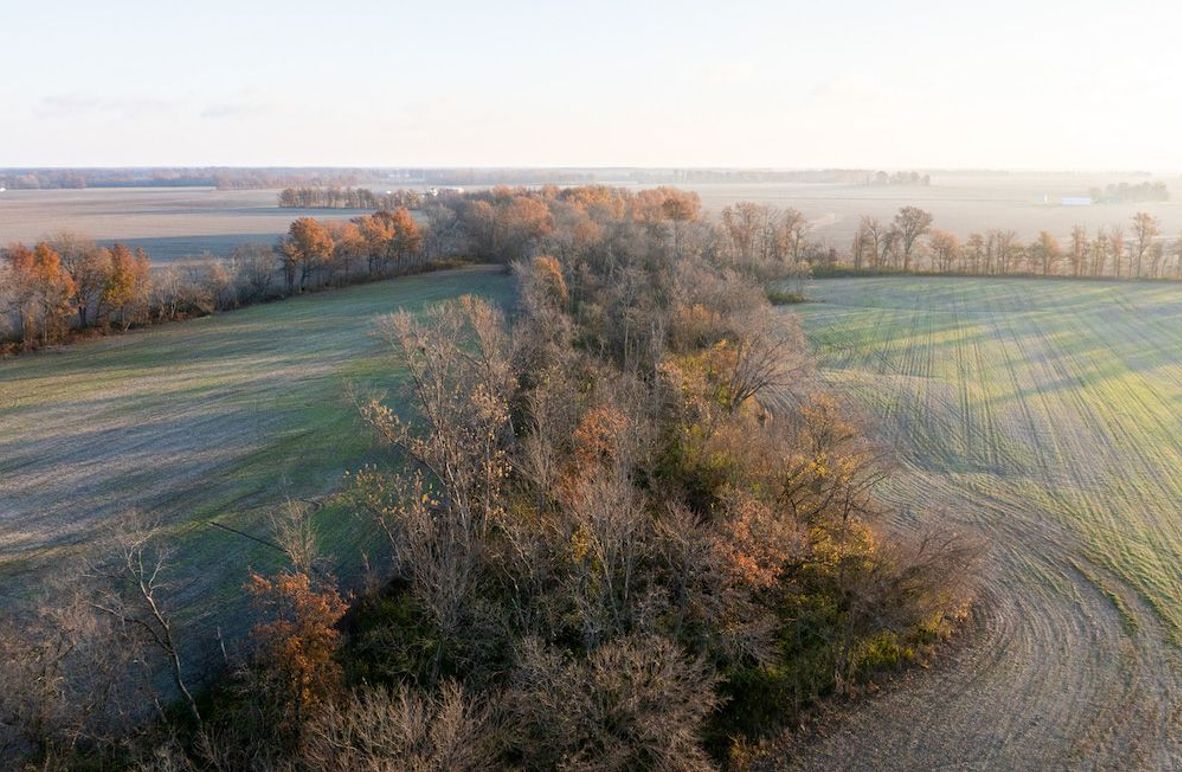 Copy of DJI_20241129073943_0007_D