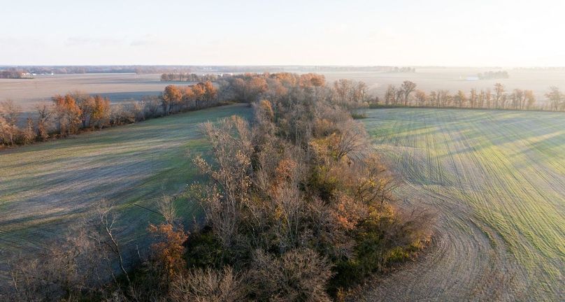 Copy of DJI_20241129073943_0007_D