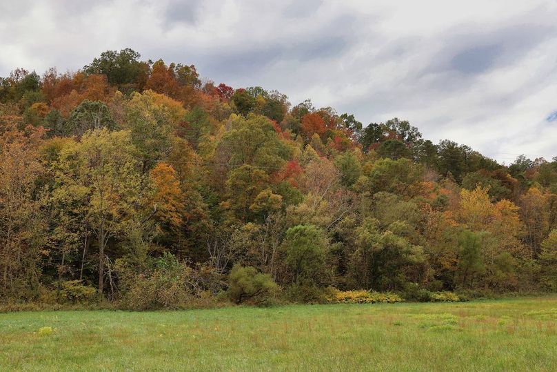 004 nice shot of the fields and timber