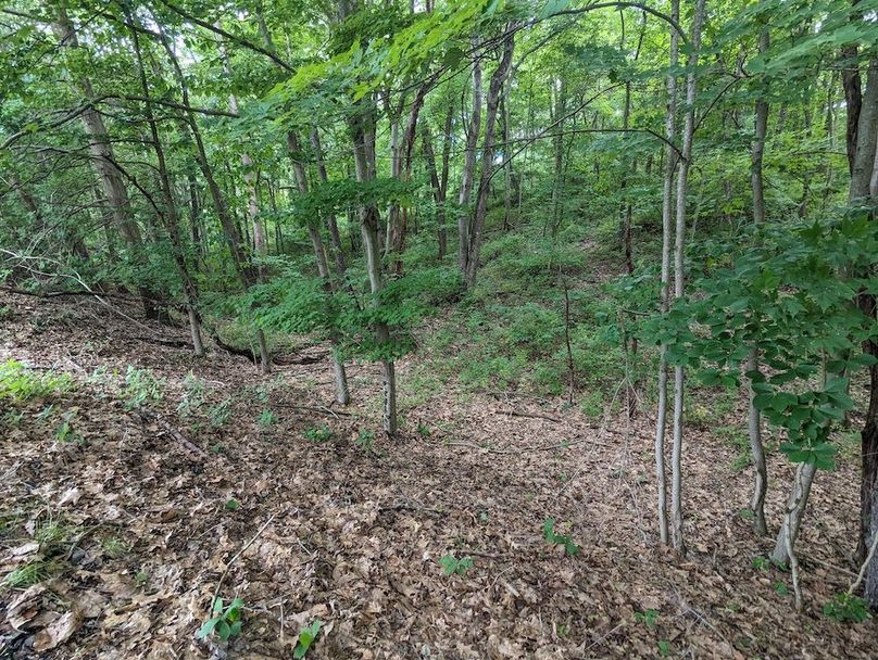 PXL_20240607_191751110