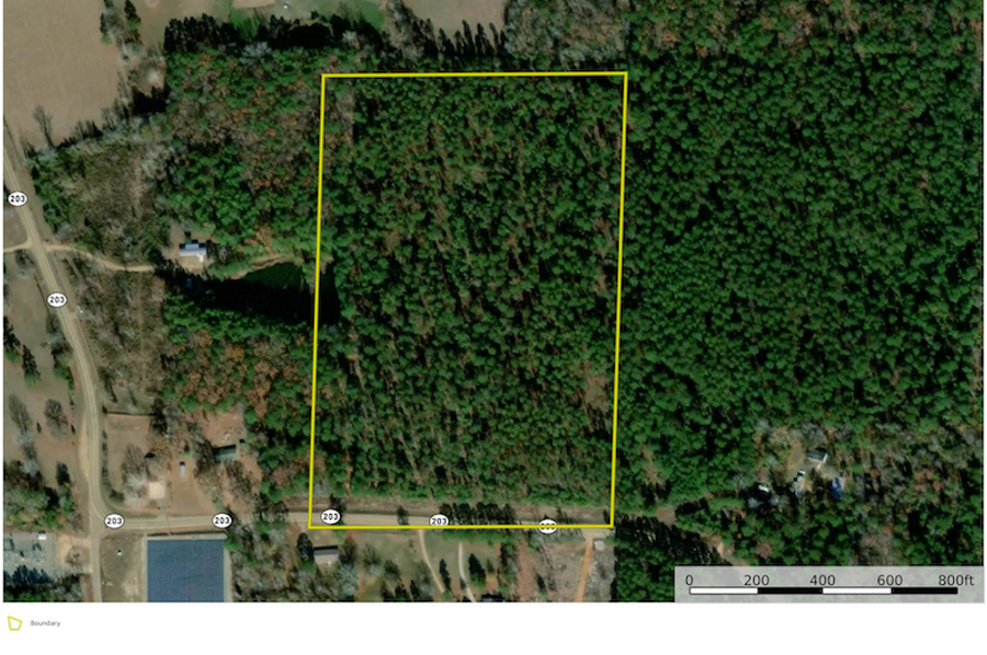 Premier Timber & Hunting Tract On Hwy 203 | Whitetail Properties