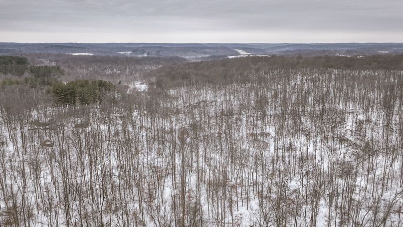 dji_fly_20260202_120652_0011_1770052176393_photo