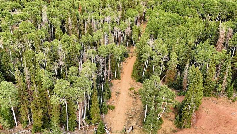 DJI_20250726183607_0203_D