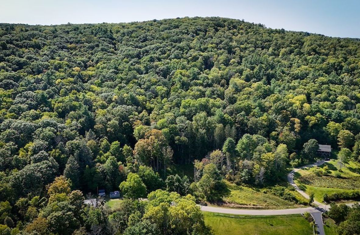 Tioga NY 86.705 Capwell Photos 3