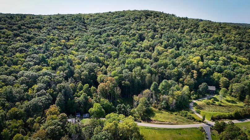 Tioga NY 86.705 Capwell Photos 3