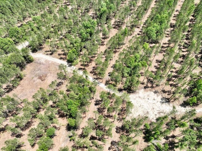 dji_fly_20260429_133748_630_1777484765265_photo