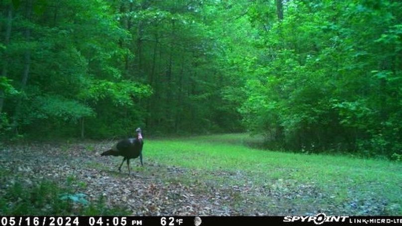 37.98ac_TempleRd_BGORE_020_24urkey