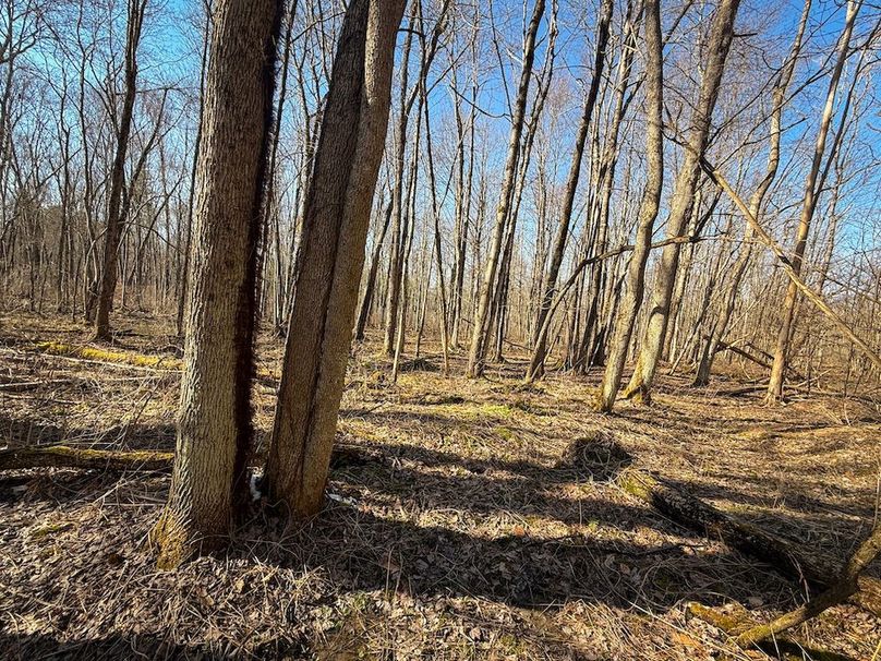 Oswego_16.32_Phillips Photo 27