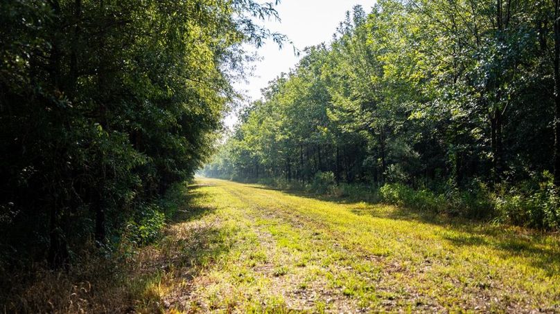 MadisonParLa1372-133