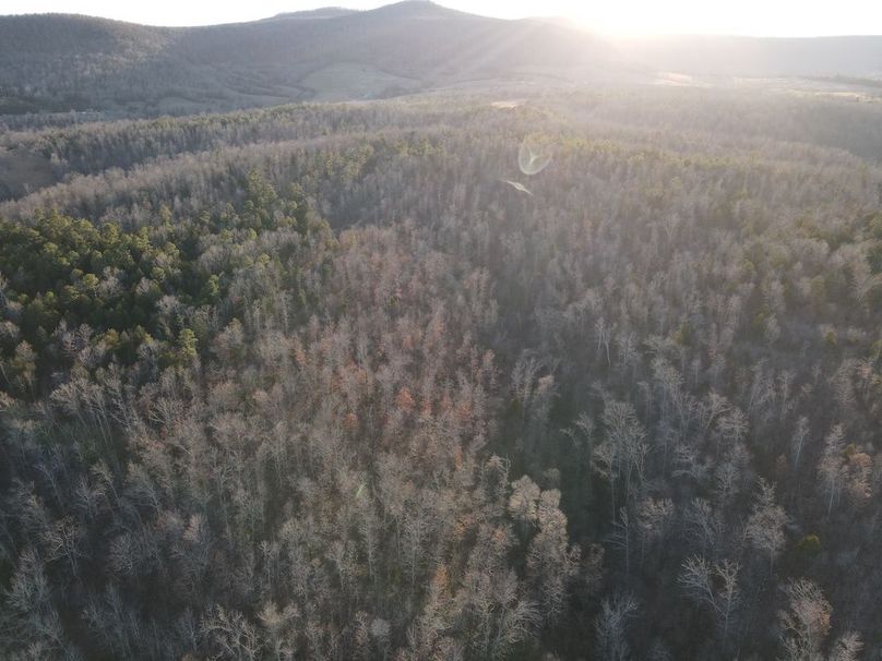 DJI_0315