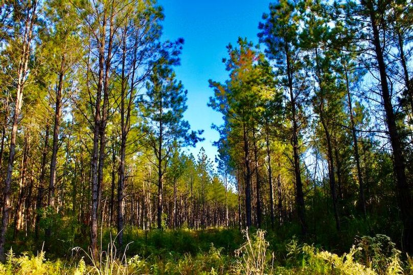 01F7A908-9ED5-4A40-A173-F6A7463276A3_1_201_a