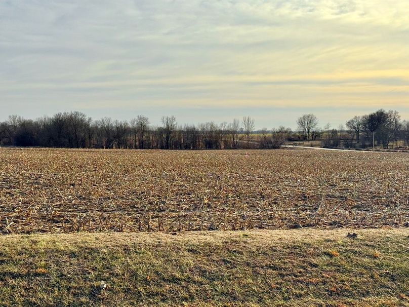 Copy of IMG_7193 Large