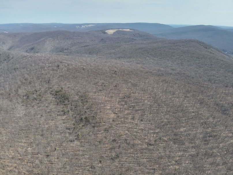 DJI_20250304115050_0017_V