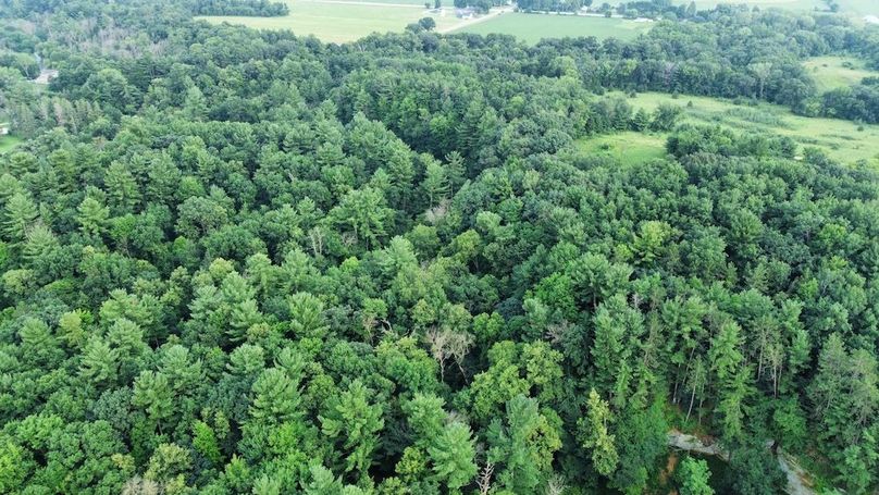 dji_fly_20240715_182052_685_1721085709614_photo_optimized