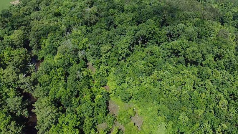 2024-06-01-10-33-47-875