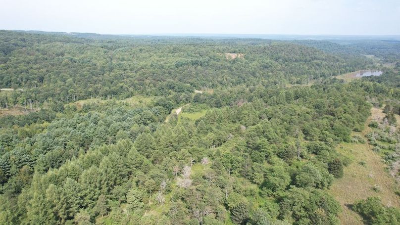 dji_fly_20250804_154630_499_1754355804469_photo