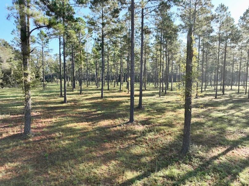 dji_fly_20251013_092520_254_1760364568409_photo