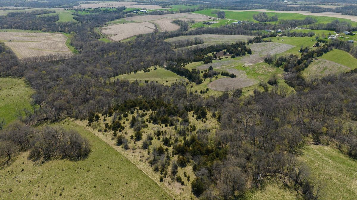 Secluded Whitetail Property With Dense Cover And Hidden Food Plots