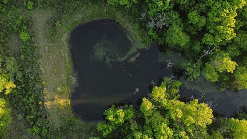 PAGE CO IA 130+_-_58