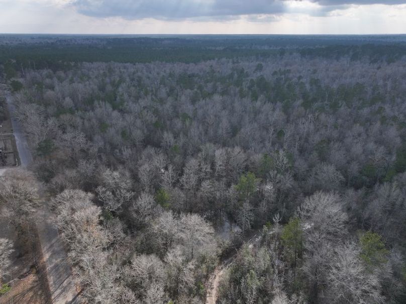 dji_fly_20260212_135534_0030_1771284253661_photo