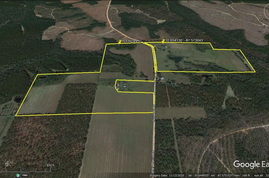 Aerial #2 Approx. 153 Acres Baldwin County, AL