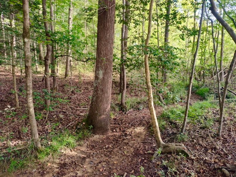 IMG_20250914_172353019_HDR