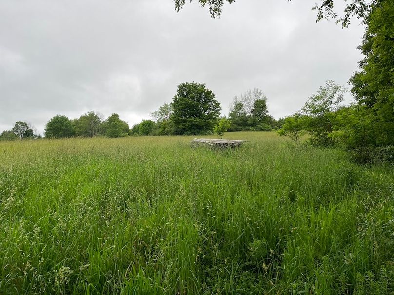 Chemung_116.3_Stamm Photo 67