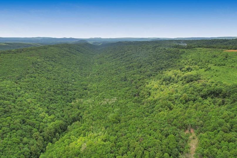 DJI_0327