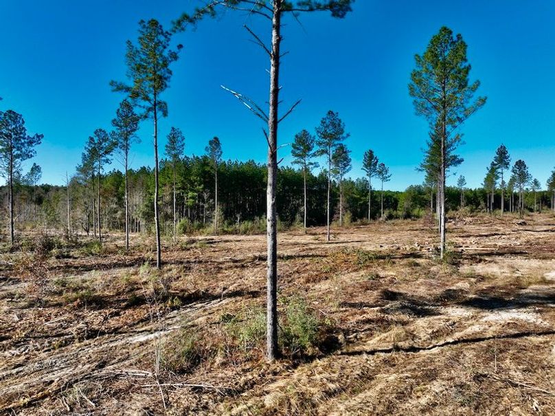 AD048584-5968-44E9-A81E-5B0E340EF3BF_1_201_a