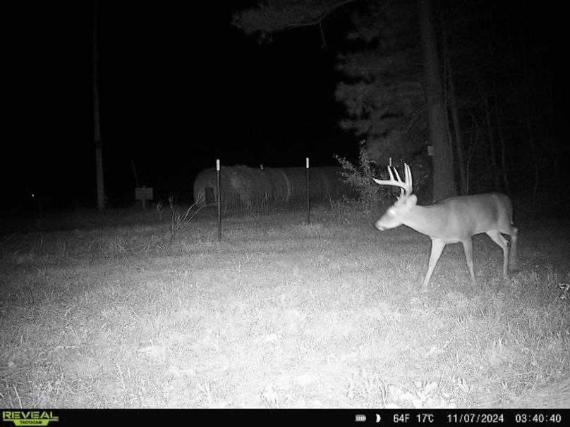 864049057770267-1-4-11072024034040-V-W1001012