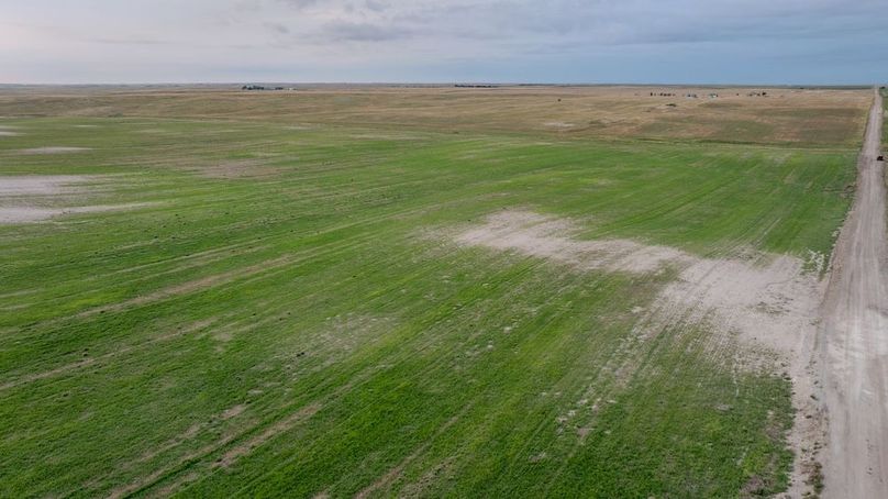 DJI_20250823062243_0226_D-HDR