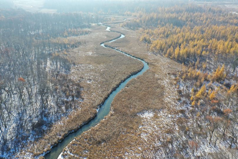 DJI_0594
