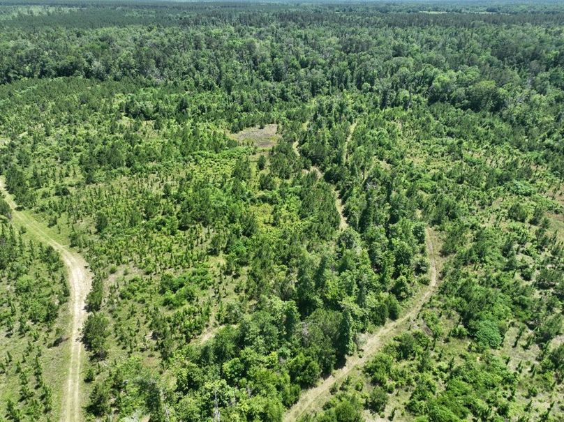 dji_fly_20250522_161442_237_1747959657625_photo